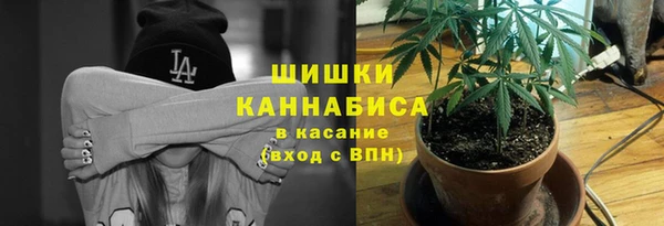 гашик Надым