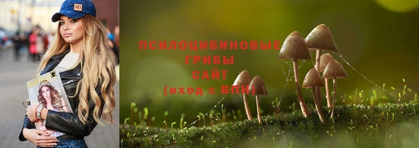 mdpv Нефтекумск