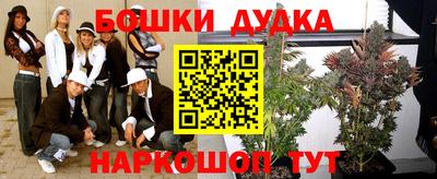 бошки Бийск