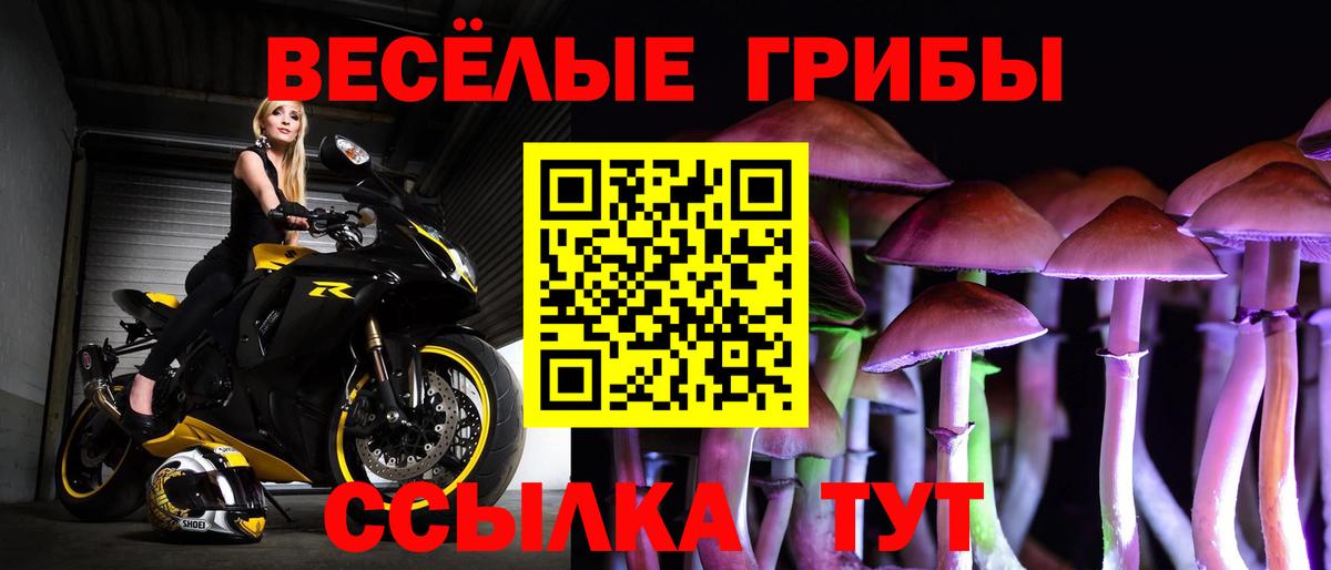 Галлюциногенные грибы ЛСД  Вход с VPN  Усть-Лабинск 